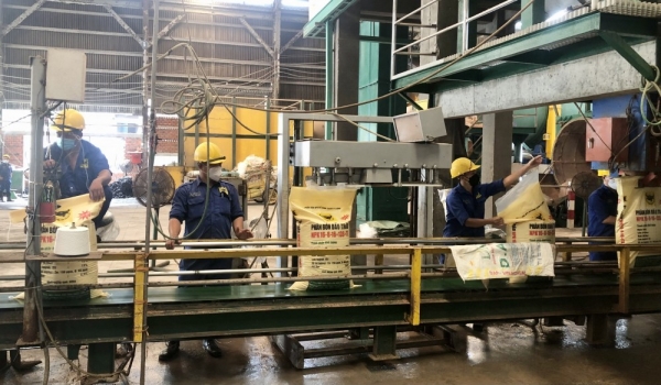 8 tháng đầu năm, xuất khẩu phân bón tăng 167,9% kim ngạch