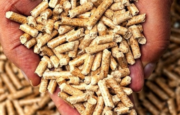 EU, Nhật Bản tăng mua, xuất khẩu viên nén dễ “bỏ túi” 700 triệu USD