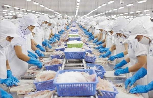 Giá tốt, cá tra xuất khẩu được ưa chuộng tại Anh