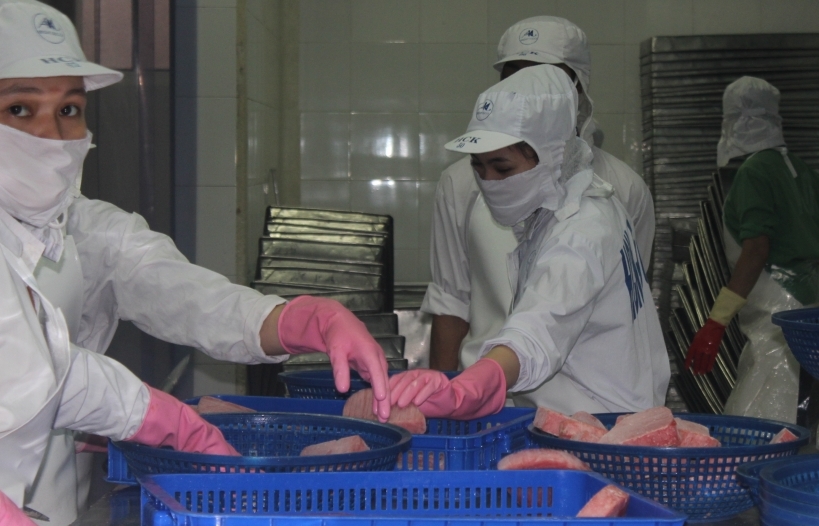 Xuất khẩu cá ngừ sang Anh vẫn khó phục hồi