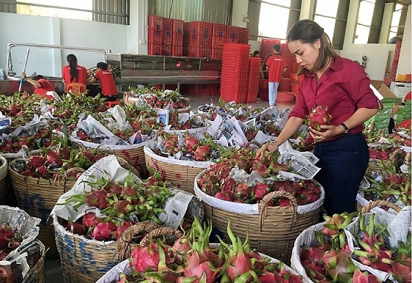 Thị trường EU sửa đổi quy định về ngưỡng dư lượng thuốc bảo vệ thực vật trên rau, hoa quả