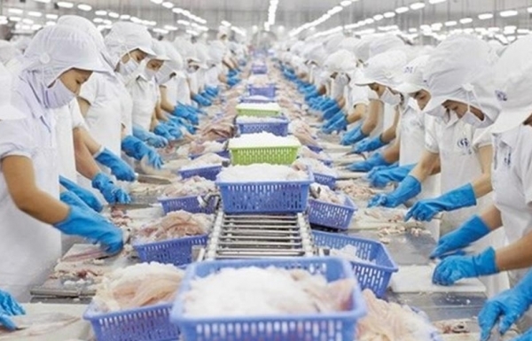 Tín hiệu tích cực xuất khẩu cá sang Trung Đông năm 2023