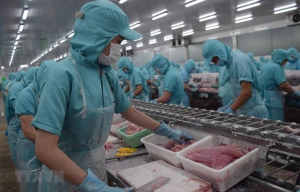 Dự báo lợi nhuận doanh nghiệp thủy sản giảm trong năm 2023