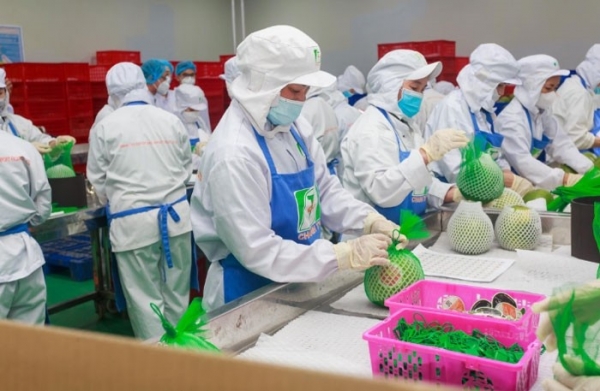 Nghị quyết 01: Bộ Nông nghiệp phấn đấu xuất khẩu nông lâm thủy sản đạt từ 54 – 55 tỷ USD