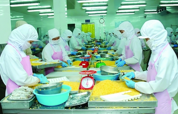 Xuất khẩu cá tra giảm, doanh nghiệp linh hoạt điều chỉnh thị trường