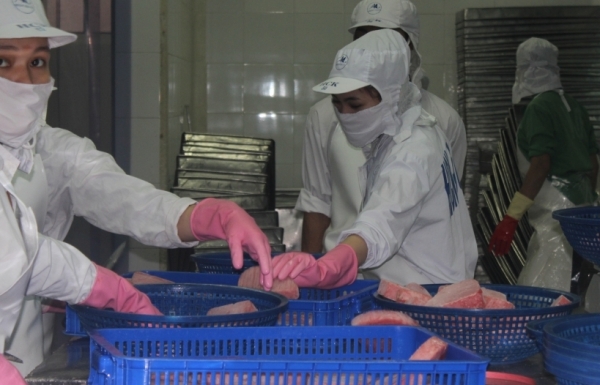 Xuất khẩu cá ngừ sang Israel tăng phi mã