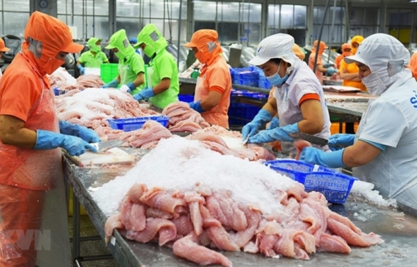 Xuất khẩu cá tra sang Anh tăng đột biến