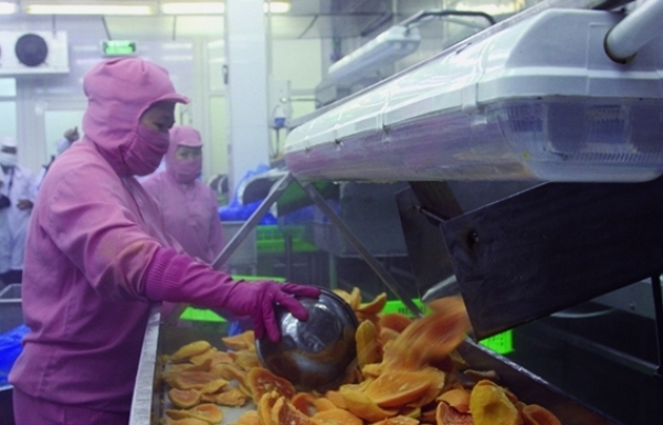 Năm 2022, xuất nhập khẩu cán đích 732,5 tỷ USD