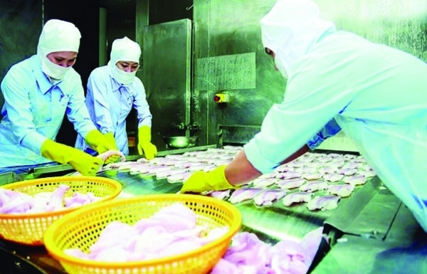 Nhật Bản soán ngôi Mỹ, trở thành thị trường nhập khẩu thủy sản số 1 của Việt Nam