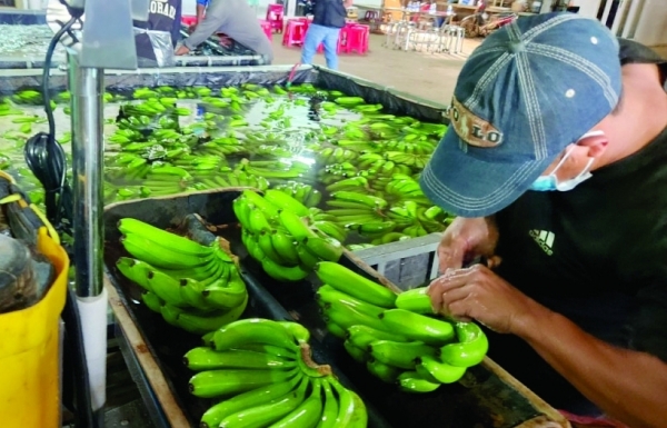 Kim ngạch xuất khẩu hàng hóa tháng 2 tăng 9,8%