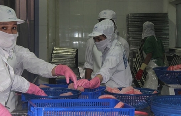 Thủy sản xuất khẩu trong tháng 2 đã bật tăng