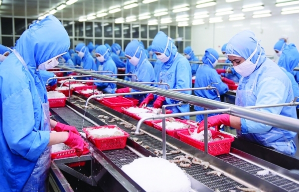 Xuất khẩu tôm kỳ vọng khởi sắc trong quý 2