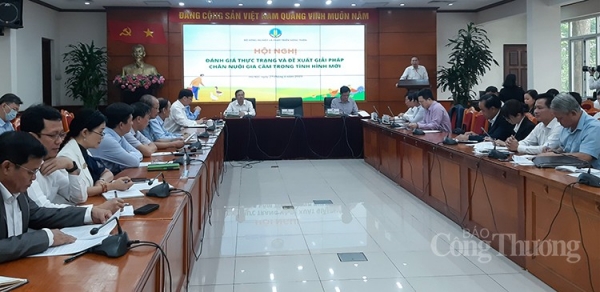 VIPA kiến nghị kiểm soát chặt chẽ việc nhập khẩu sản phẩm chăn nuôi