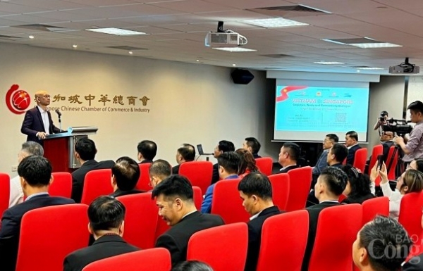 Tọa đàm Việt Nam – Singapore: Logistics, thương mại và kết nối