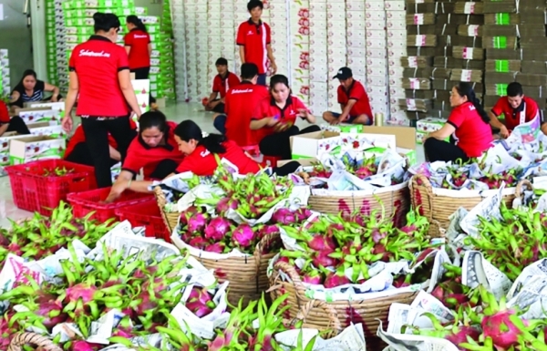 Mở rộng cơ hội xuất khẩu nhiều nhóm hàng thế mạnh sang Israel