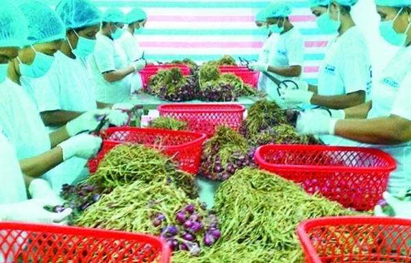 Xuất nhập khẩu quý 1 sụt giảm cả hai chiều