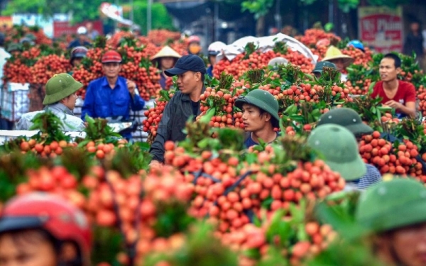 Bộ Công Thương: Đồng hành, hỗ trợ các địa phương miền núi xuất khẩu nông sản