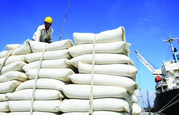 Châu Phi dự kiến nhập khoảng 17,7 triệu tấn gạo, cơ hội cho Việt Nam