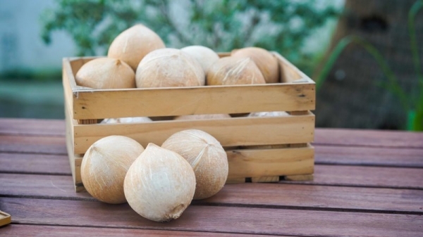 Hoa Kỳ mở cửa thị trường với quả dừa sọ Việt Nam