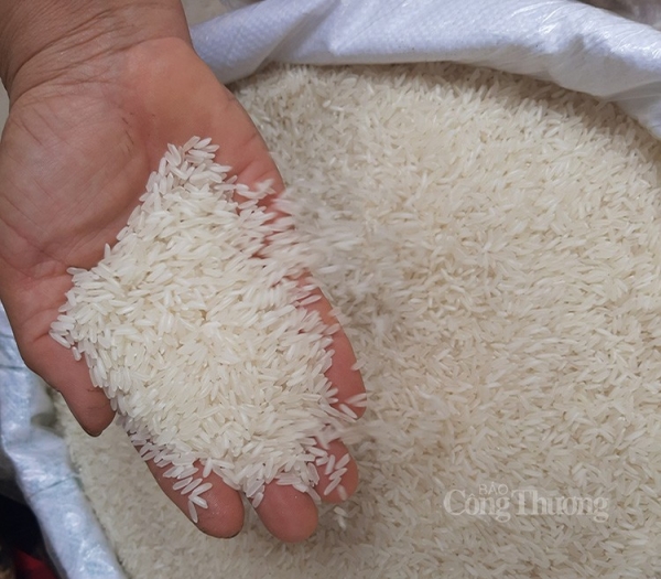 Giá gạo xuất khẩu Việt Nam đắt nhất thế giới, mừng hay lo?