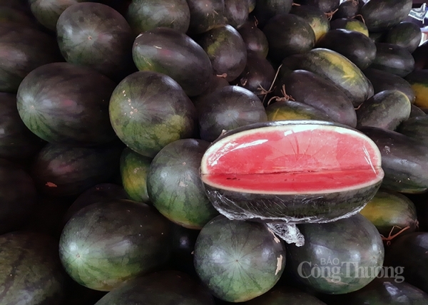 Thêm “visa” cho dưa hấu Việt sang thị trường Trung Quốc