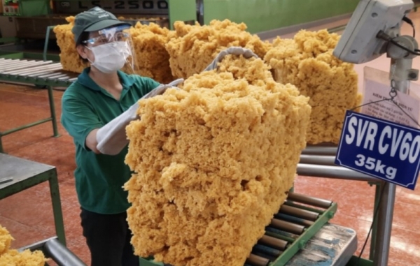 Căng thẳng Biển Đỏ kéo dài sẽ ảnh hưởng đến xuất khẩu cao su của Việt Nam