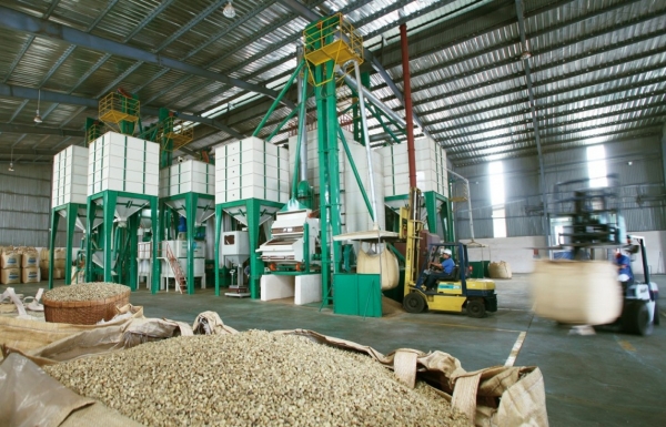 Tận dụng hiệu quả C/O, khơi mở ‘cao tốc’ dẫn vào thị trường EU