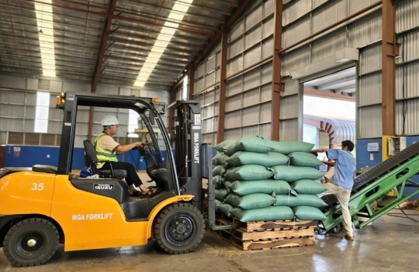 Giá tăng kỷ lục, cà phê xuất khẩu chiếm 80% tổng kim ngạch xuất khẩu của tỉnh Gia Lai