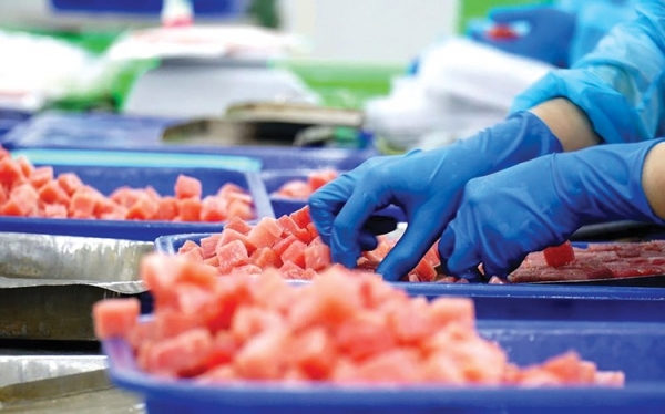 Xuất khẩu bền vững – chìa khóa để doanh nghiệp Việt vươn xa