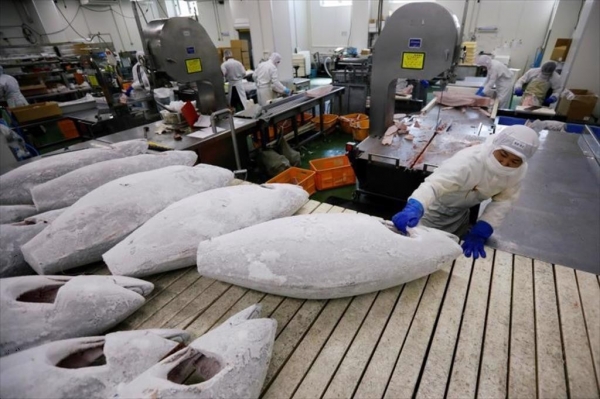 Không để lỡ nhịp xuất khẩu thủy sản sang Hoa Kỳ