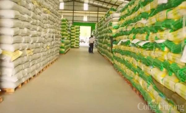 Tiền Giang: Xuất khẩu gạo sang Philippines bùng nổ, tăng gần 100%