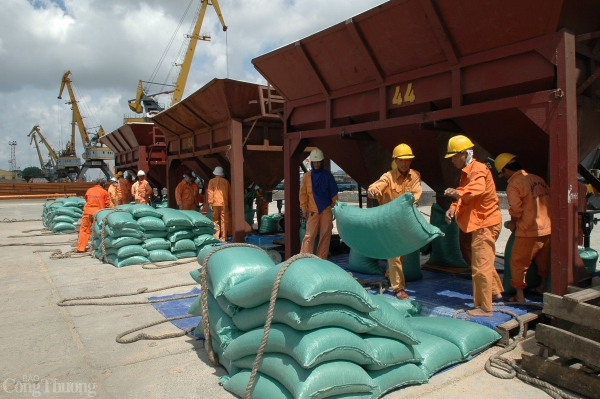 Bộ Công Thương thành lập đoàn kiểm tra liên ngành về xuất khẩu gạo