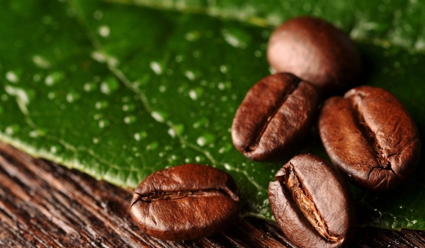 Chủ động thích ứng, doanh nghiệp tăng tốc xuất khẩu hàng hóa