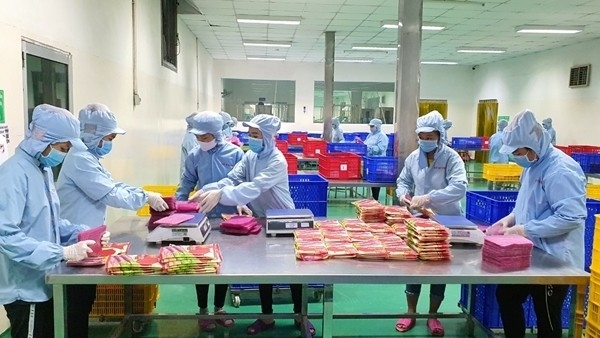 Tiếp tục đề xuất bãi bỏ thủ tục công bố hợp quy