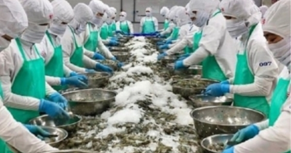 水产业灵活应对出口市场